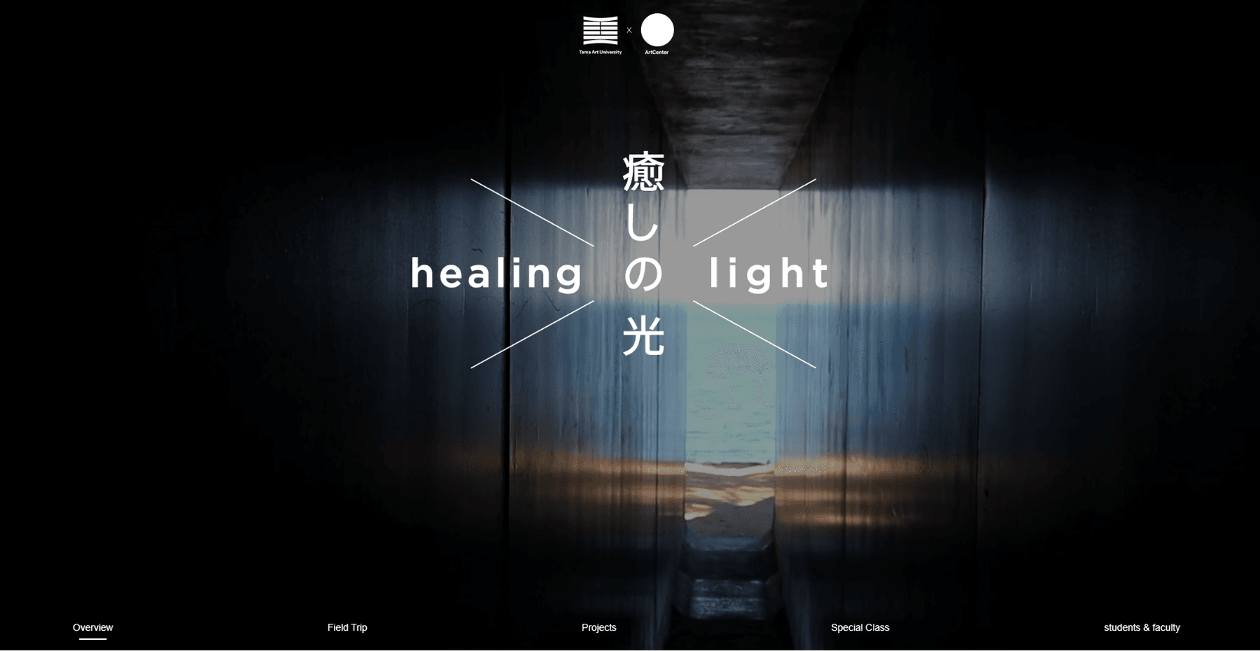 Healing Light exchange program website