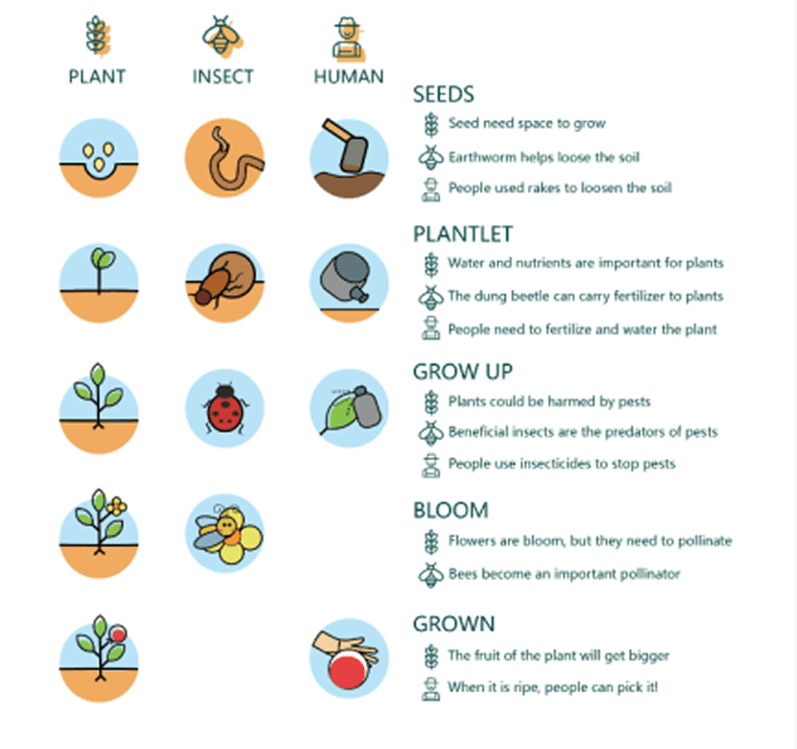 Diagram showing relationships between plants, insects and people