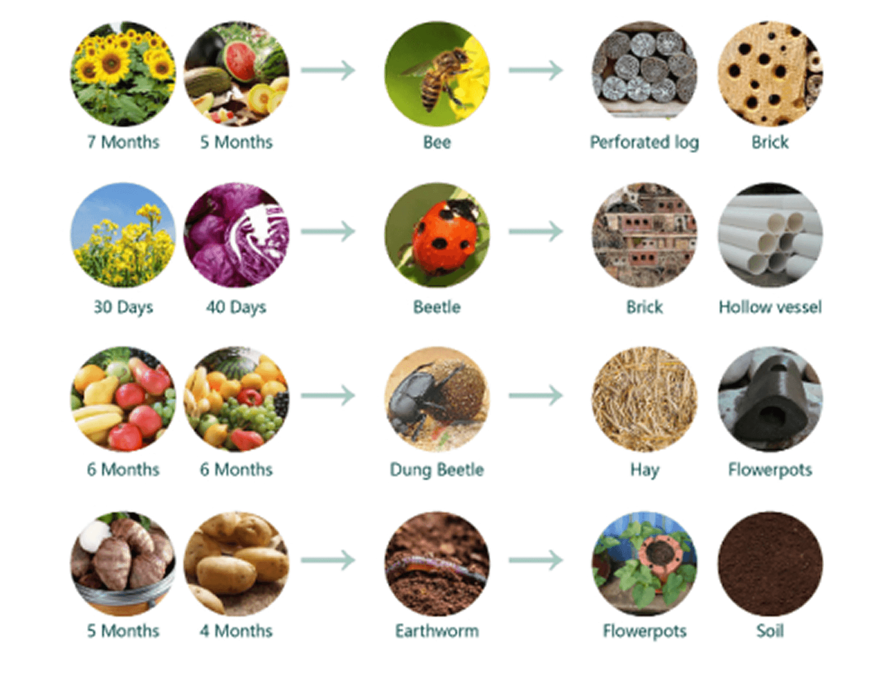 Insect species paired with suitable nesting materials