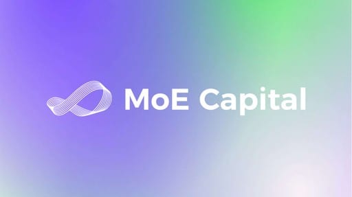 MoE Capital branding and website